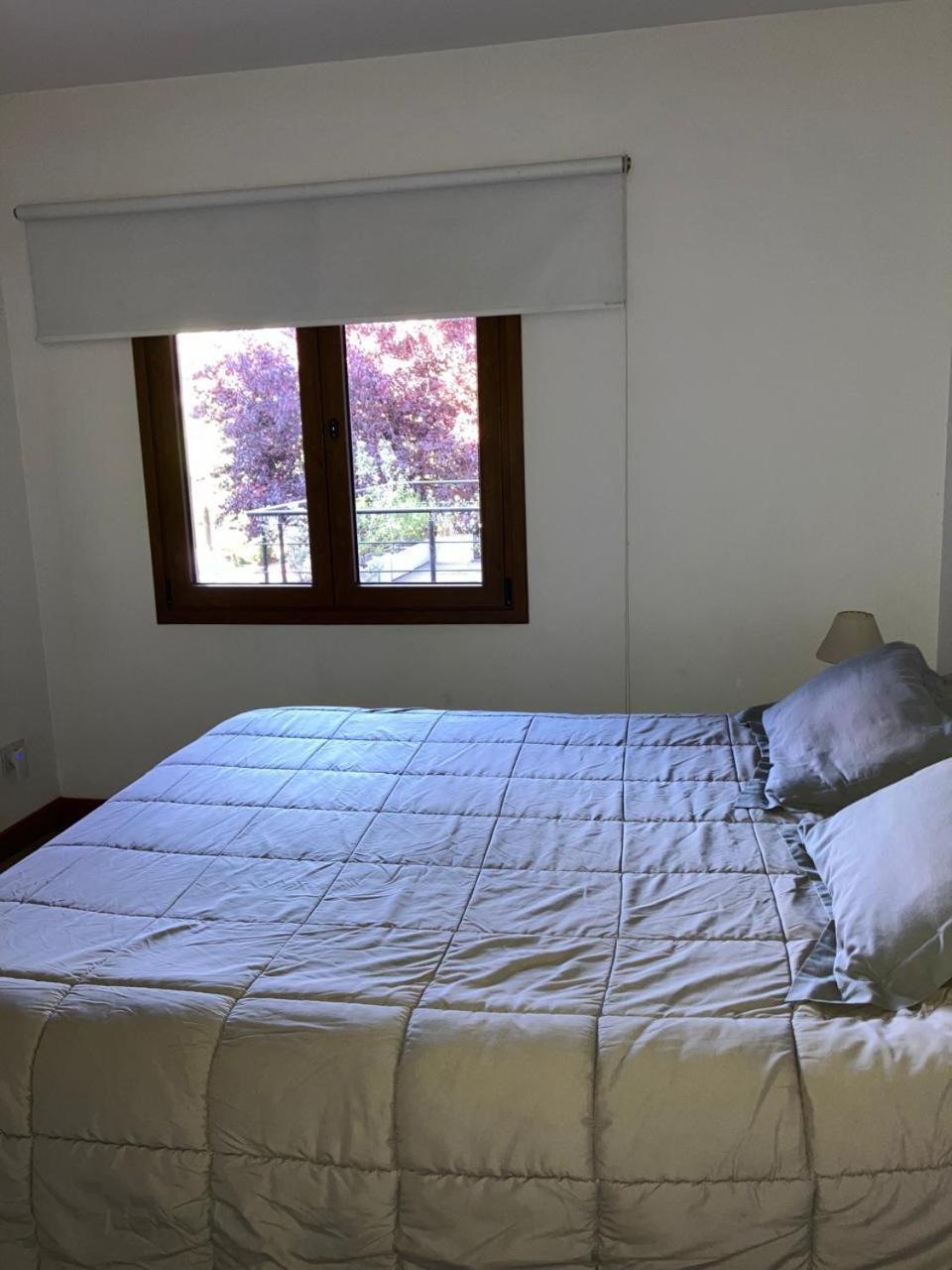 Cómodo Departamento Céntrico en San martin de los andes San Martín de los Andes Exterior foto